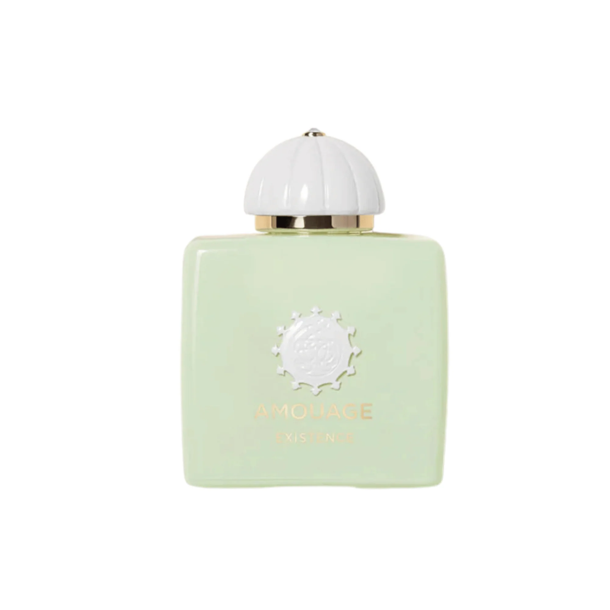 Amouage Existence EDP (100 ml) #10091705