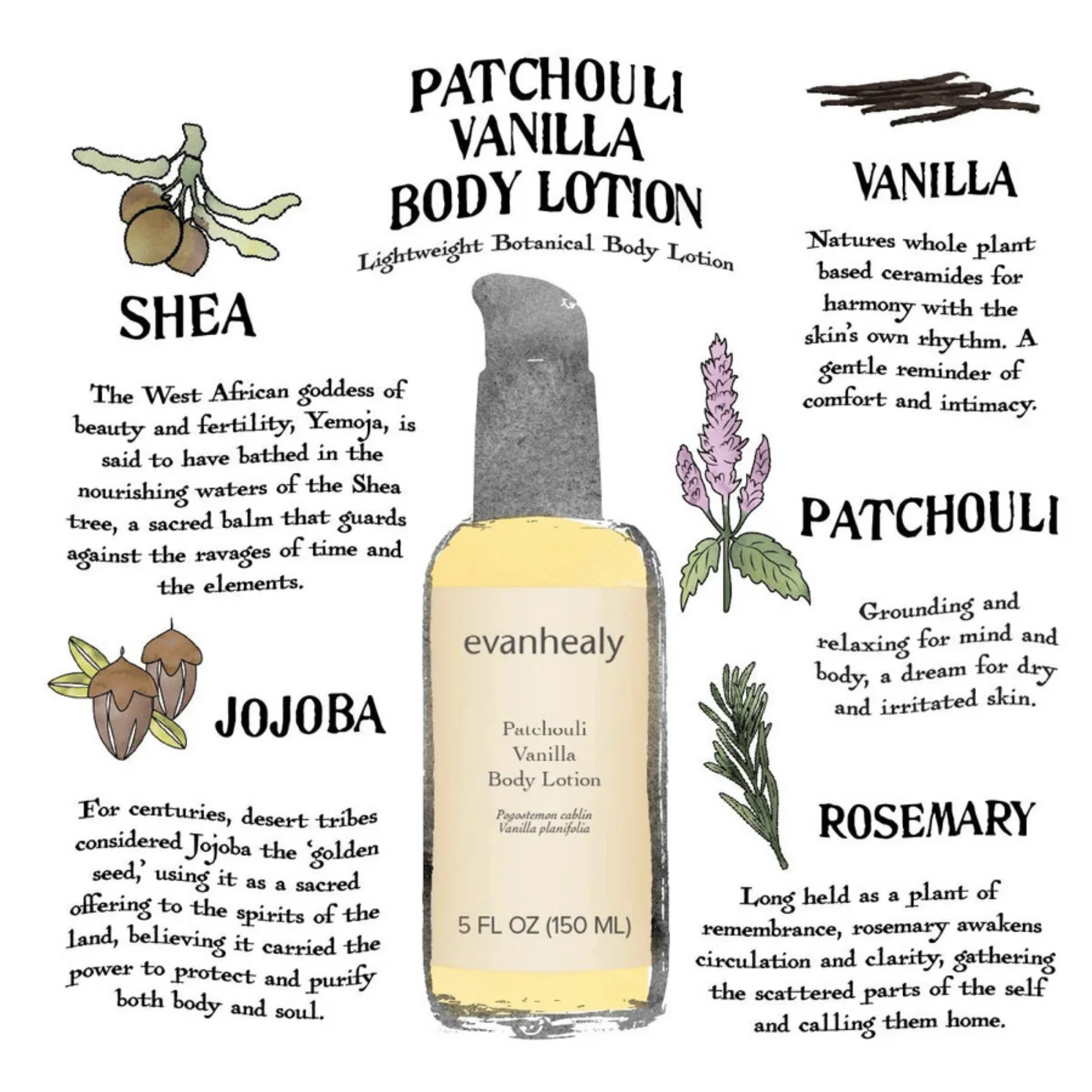 evanhealy Patchouli Vanilla Body Lotion (5 fl oz) #10092108 - Image 4