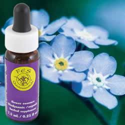Flower Essence Services Forget-Me-Not (0.25 fl oz) #8372