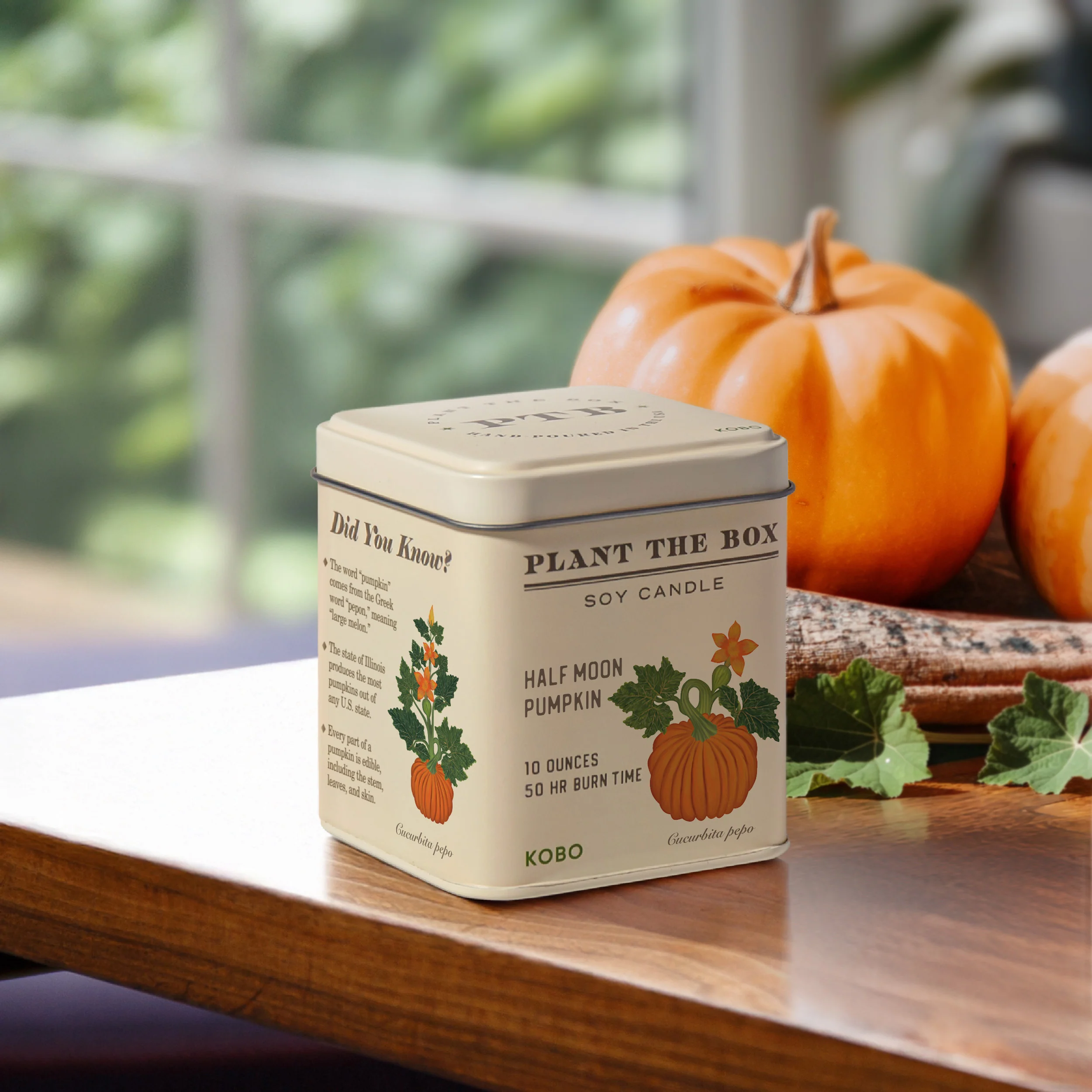 KOBO Plant the Box Half Moon Pumpkin Tin Candle (10 oz) #10092155 - Image 2