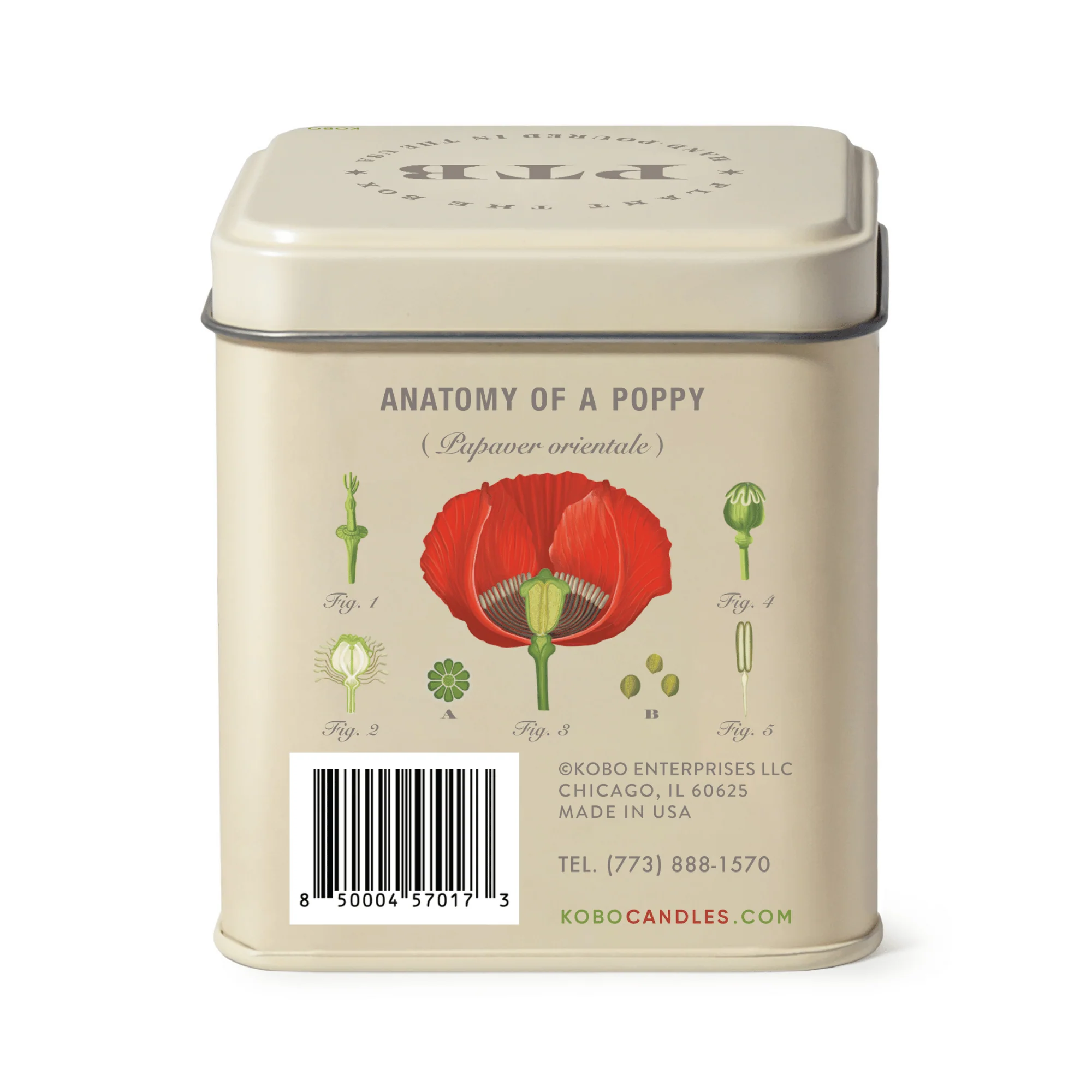 KOBO Plant the Box Red Poppy Tin Candle (10 oz) #10092153 - Image 5