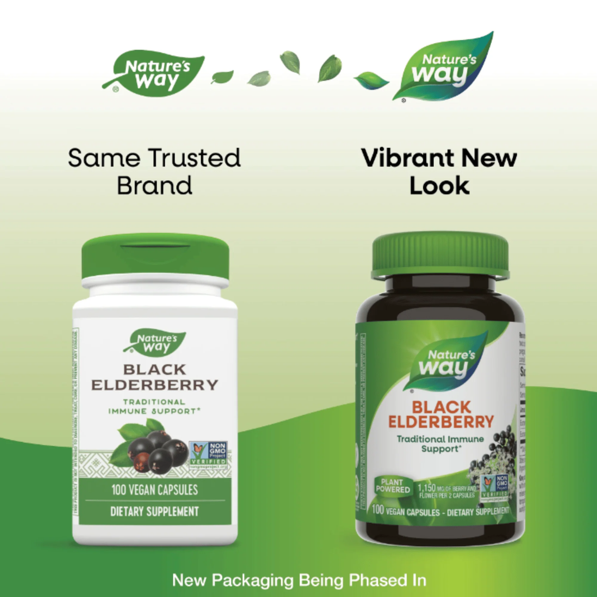 Nature's Way Black Elderberry Capsules (100 count) #5770 - Image 3