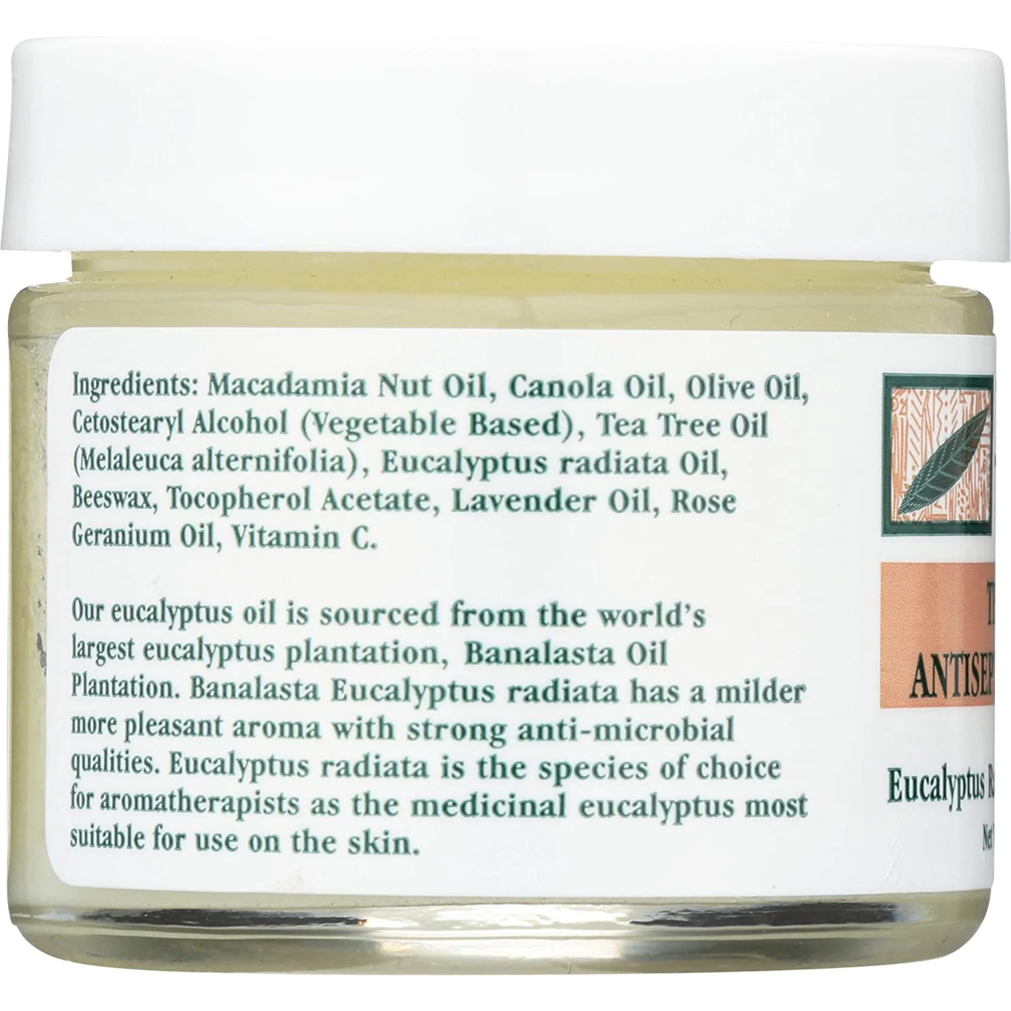 Tea Tree Therapy Antiseptic Ointment (2 oz) #10085214 - Image 2